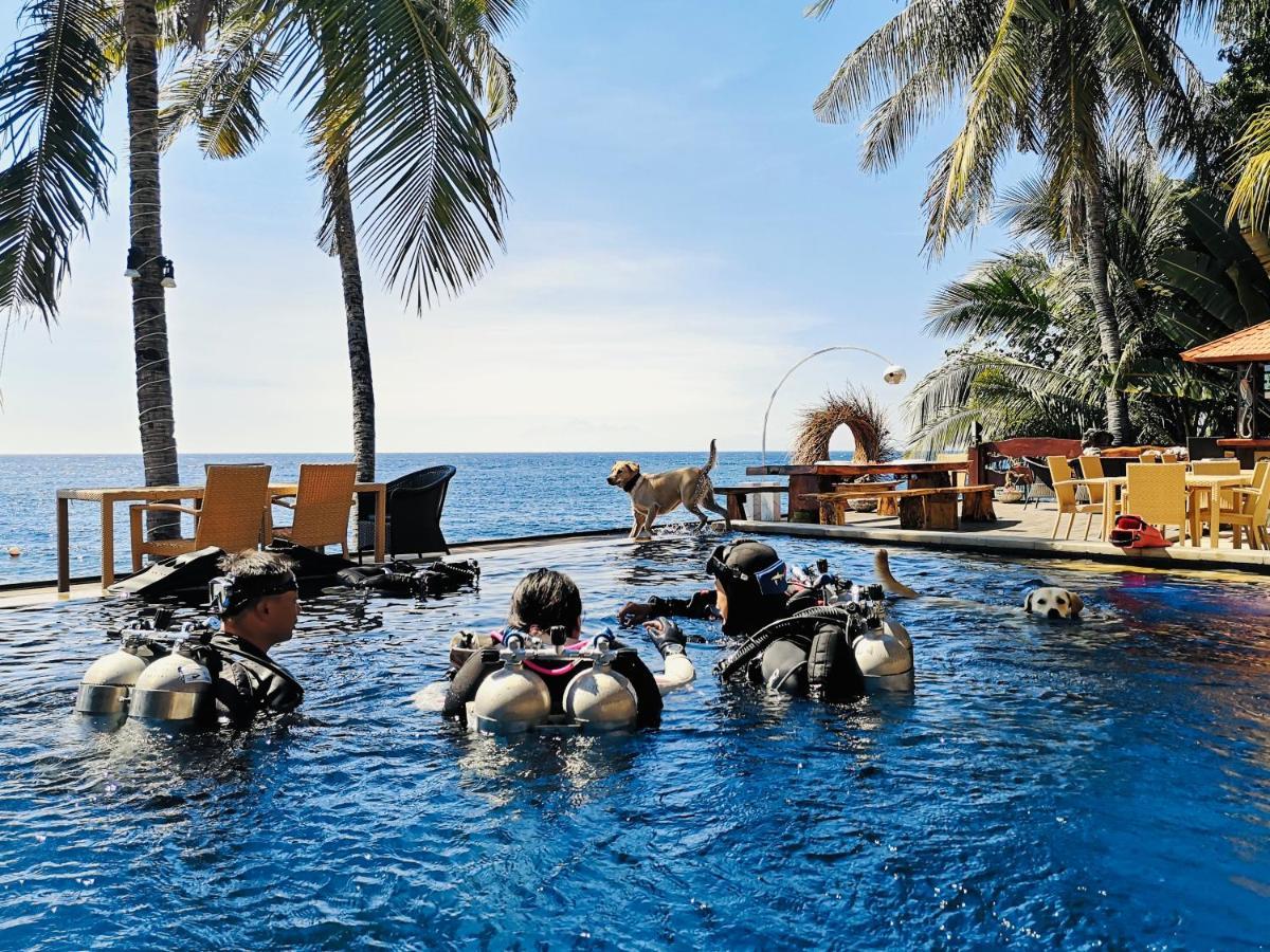 Villa Alba Bali Dive Resort Tulamben Eksteriør billede