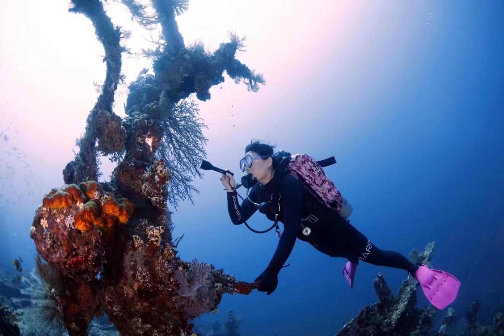 Villa Alba Bali Dive Resort Tulamben Eksteriør billede